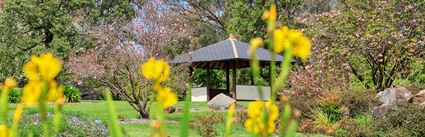 Japanese Garden - Cowra 